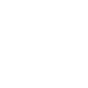 white logo sonic